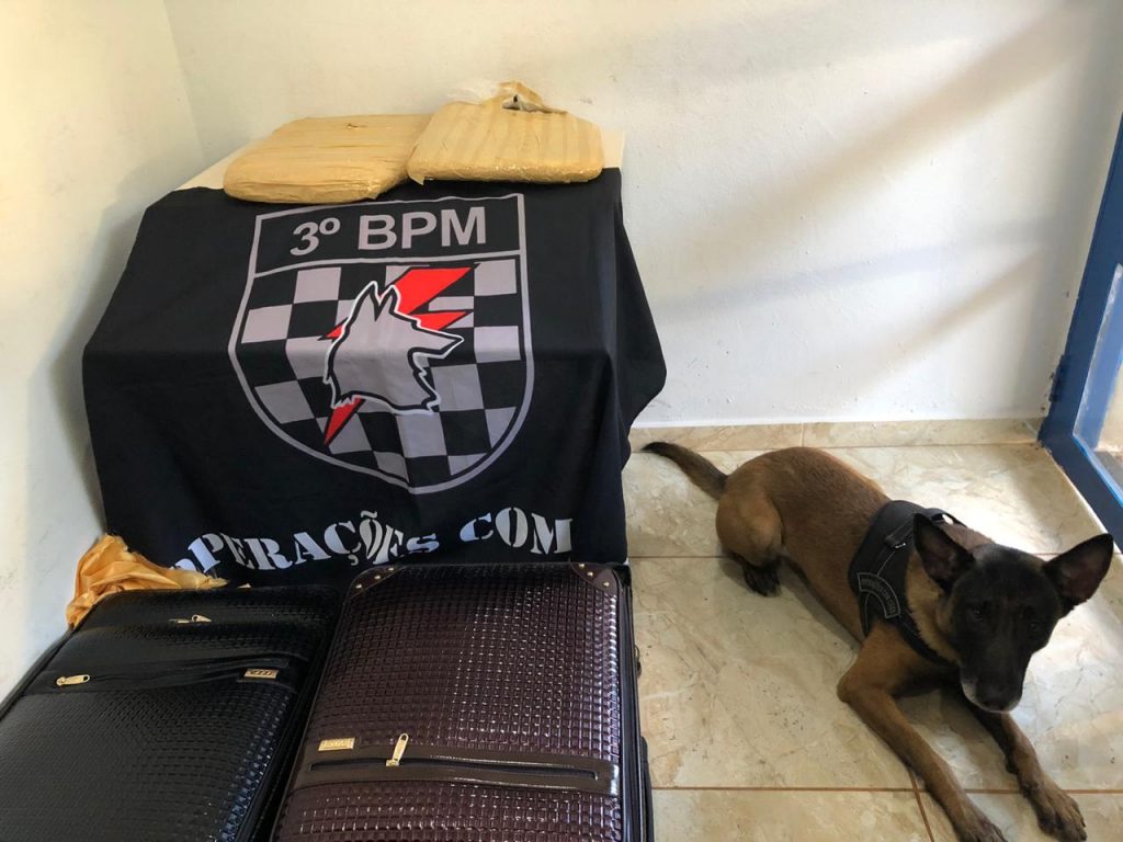 Getam prende dois e apreende mais 500 quilos de maconha em depósito