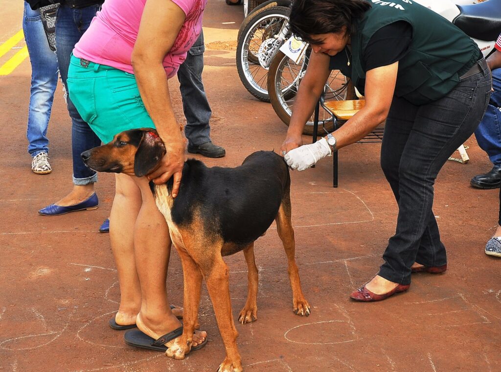 CCZ de Dourados faz mutirão contra aedes e realiza vacinação antirrábica