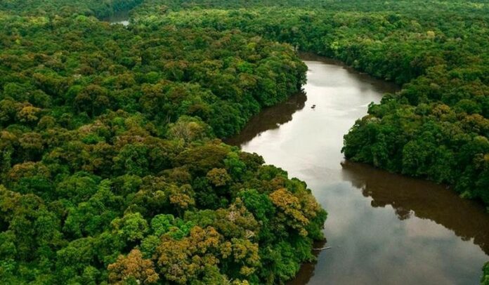 amazonia