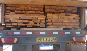 Empresa é autuada em quase 10 mil reais por transporte ilegal de madeira