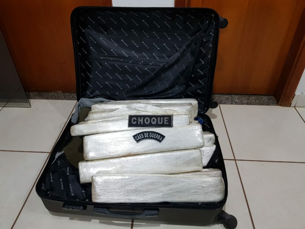 Cão de faro encontra 13 tabletes de maconha em mala de passageiro na rodoviária da Capital