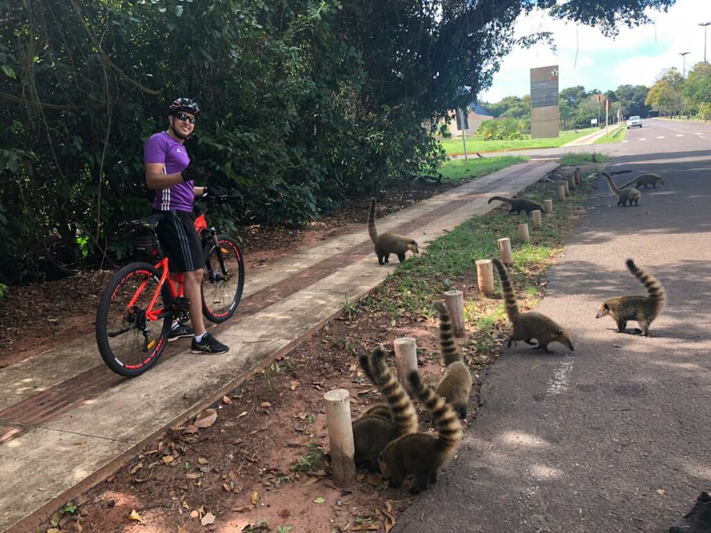 Campo Grande 121 anos: Com saudosismo, campo-grandenses relembram os belos passeios pela Cidade Morena