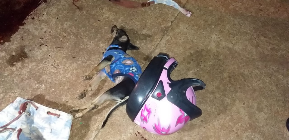 Mulher de 23 anos morre após bater moto em poste de iluminação pública Mulher de 23 anos morre após bater moto em poste de iluminação pública