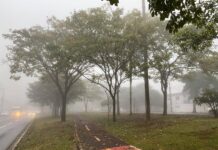 Capital que teria marcado frio de -4ºC hoje registra morte de morador de rua