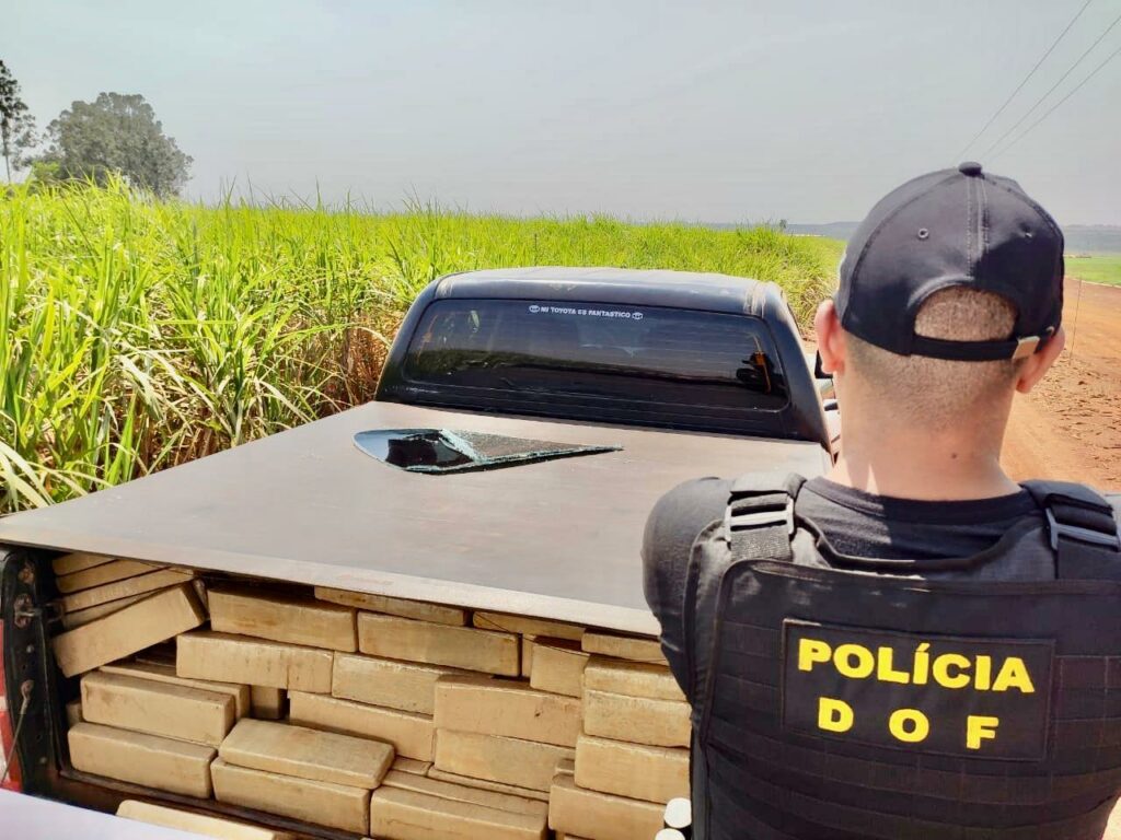 DOF descobre entreposto e apreende mais de uma tonelada de maconha DOF descobre entreposto e apreende mais de uma tonelada de maconha
