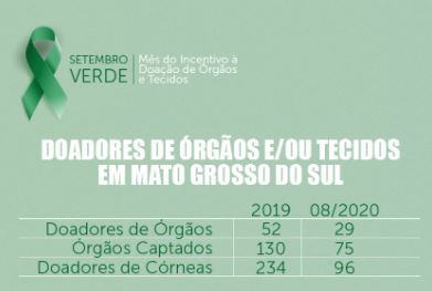 Setembro Verde: Há 27 anos, lei sensibiliza para doação de órgãos