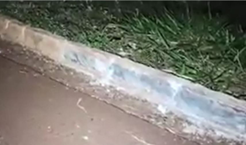 Corpo de músico é encontrado na rodovia MS-156