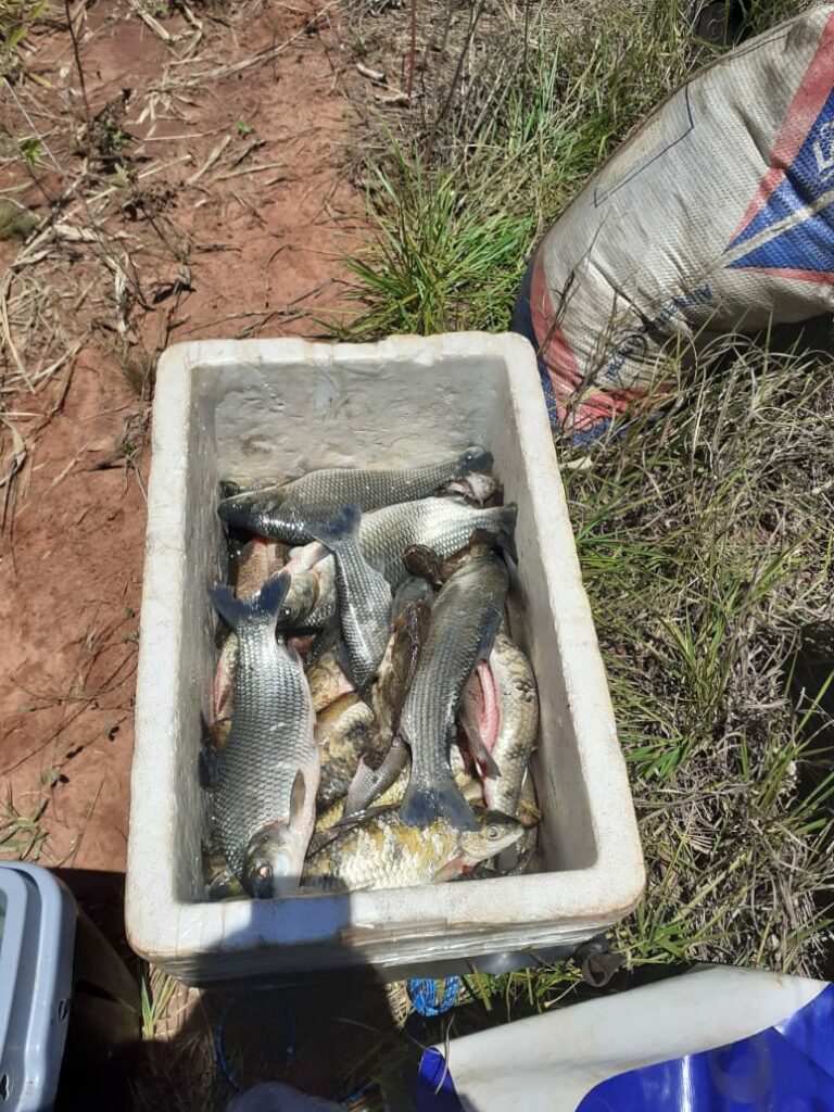 Dois homens são autuados em Mundo Novo com 20 kg de pescado e 30 redes de pesca