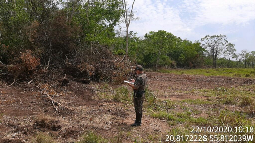 Pecuarista é autuado em R$ 5 mil por desmatamento de área protegida Pecuarista é autuado em R$ 5 mil por desmatamento de área protegida