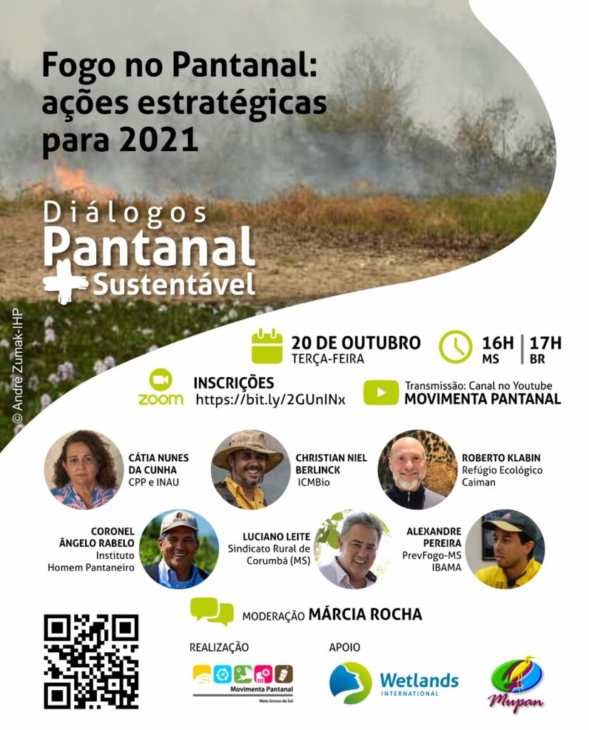 Webinário discute ações para que desastre não volte a acontecer no Pantanal Webinário discute ações para que desastre não volte a acontecer no Pantanal
