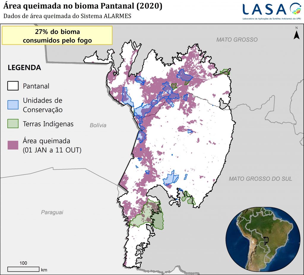 Fogo destruiu 27% do Pantanal entre janeiro e outubro, aponta monitoramento da UFRJ