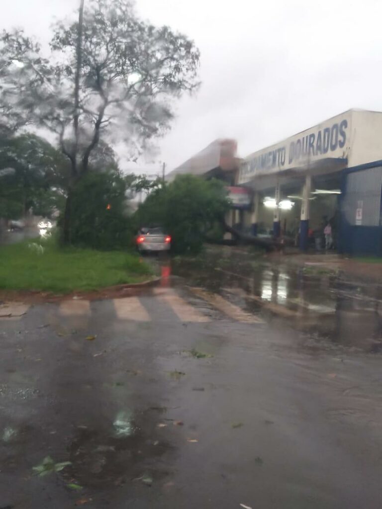 Chuva forte atinge o Estado e já causa alagamentos e queda de árvores