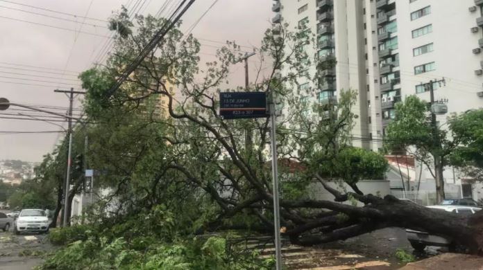 Vídeo: Ventania com chuva chega em Campo Grande