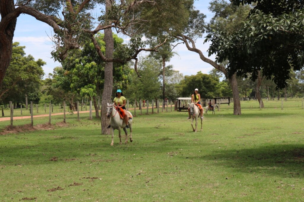 Segundo encontro Diálogos Pantanal + Sustentável acontece nesta quinta-feira