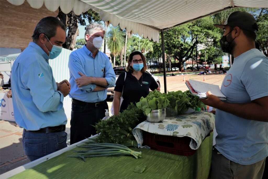 Com o Pro-Orgânico, agricultores podem vender produtos com certificação ao consumidor Com o Pro-Orgânico, agricultores podem vender produtos com certificação ao consumidor