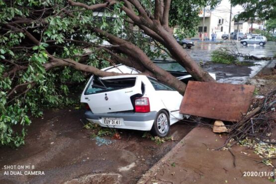 Vídeo: Vendaval derruba árvores no Centro de Dourados durante forte chuva Vídeo: Vendaval derruba árvores no Centro de Dourados durante forte chuva