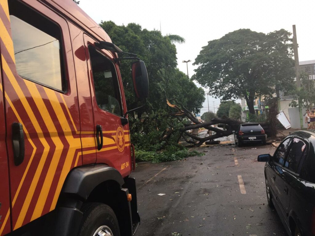 Vídeo: Vendaval derruba árvores no Centro de Dourados durante forte chuva
