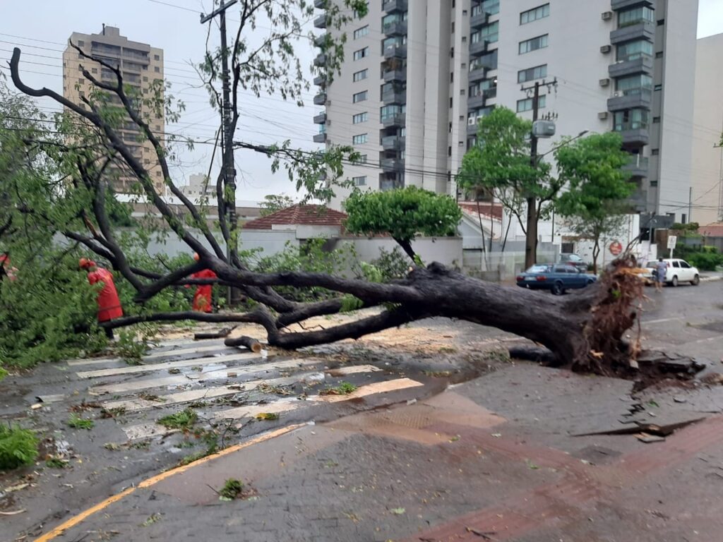 Prefeitura age rápido para recuperar estragos do temporal Prefeitura age rápido para recuperar estragos do temporal