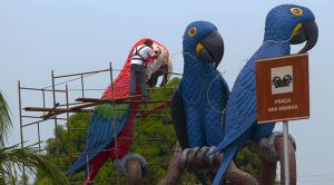 De lives à “gincana” para colorir arara, Hemosul se reinventou para salvar vidas durante a pandemia De lives à “gincana” para colorir arara, Hemosul se reinventou para salvar vidas durante a pandemia