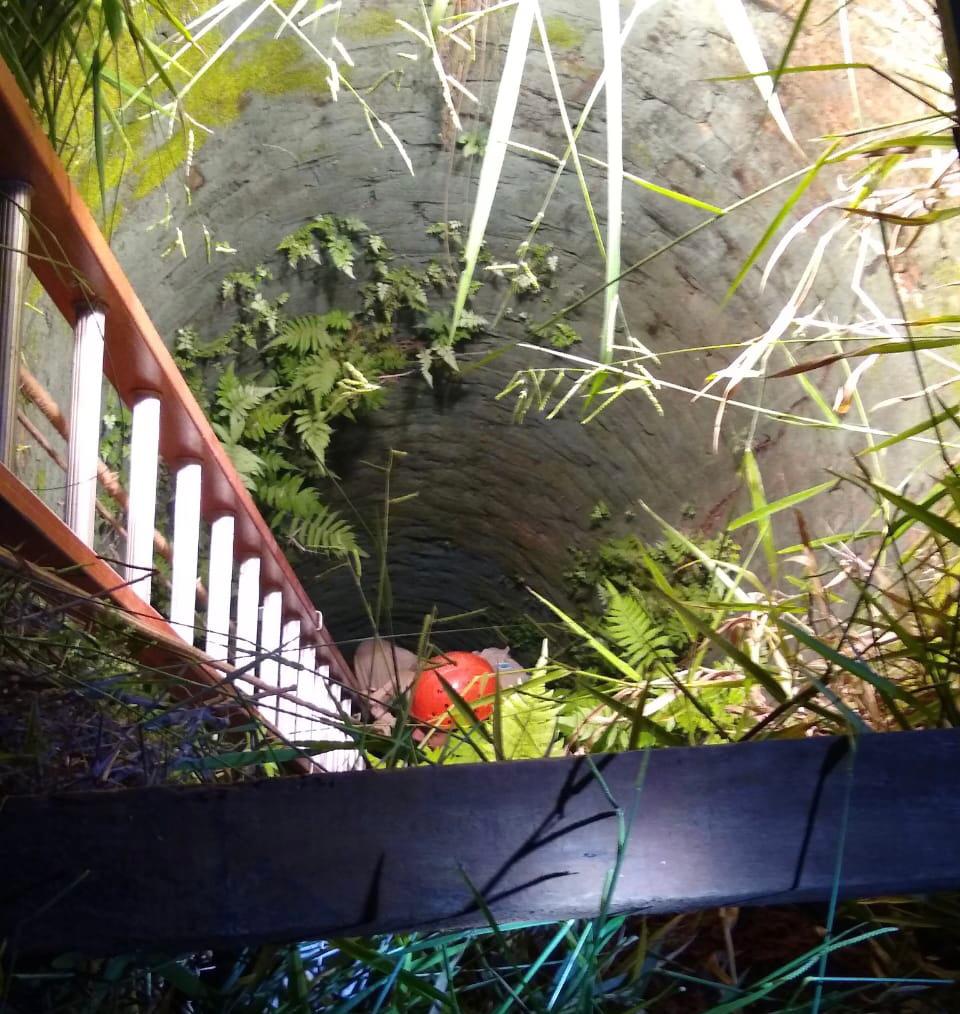 Cadela que caiu em poço é resgatada pelos Bombeiros Militares Cadela que caiu em poço é resgatada pelos Bombeiros Militares