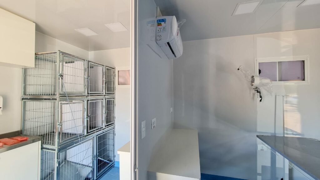 Unidade Móvel vai levar castração de cães a bairros com maior vulnerabilidade social