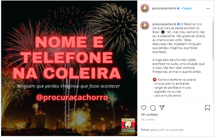 Réveillon é a pior data do ano para os animais de estimação Réveillon é a pior data do ano para os animais de estimação