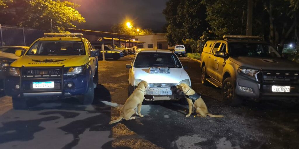 Choque e PMR apreendem mais de 10 quilos de cocaína na MS-040 Choque e PMR apreendem mais de 10 quilos de cocaína na MS-040