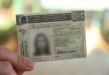 Exame toxicológico volta a ser obrigatório para CNH A e B