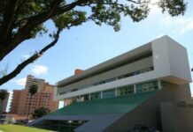 Prefeitura da Capital planeja espaços arborizados com espécies nativas