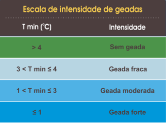 La Niña pode favorecer a ocorrência de geada em Mato Grosso do Sul