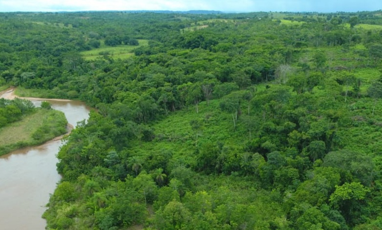 Administrador de empresas é autuado em R$ 6,6 mil por desmatamento ilegal Administrador de empresas é autuado em R$ 6,6 mil por desmatamento ilegal