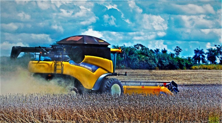 Chuvas de janeiro já impactam na recomposição do leito dos rios e na agricultura Chuvas de janeiro já impactam na recomposição do leito dos rios e na agricultura