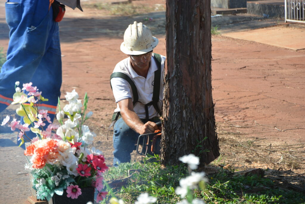 Prefeitura da inicio á limpeza no cemitério de Dourados