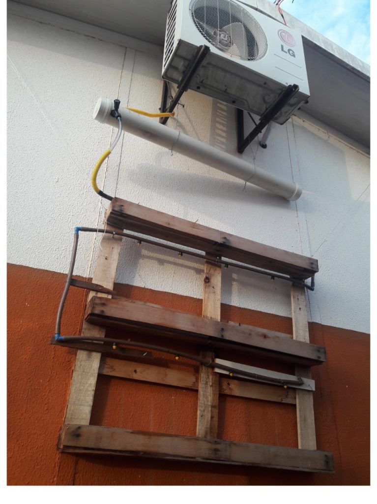 Projeto de escola da Reme é destaque em revista científica