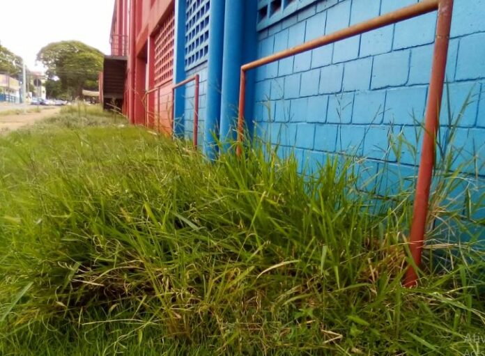 Unidade desativada do Extra está com novo visual após limpeza externa Unidade desativada do Extra está com novo visual após limpeza externa