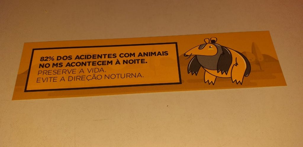 PMA realiza campanha educativa sobre atropelamentos de animais silvestres na BR-262