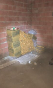 Agentes da Senad localizam depósito com mais de duas toneladas de drogas na fronteira