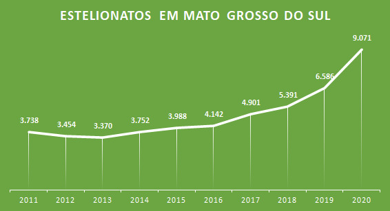Sejusp dá dicas para se proteger contra golpes pela internet