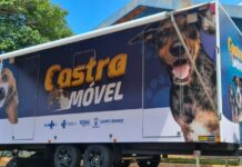 Em shopping da Capital, Castramóvel oferece serviços gratuitos para pets