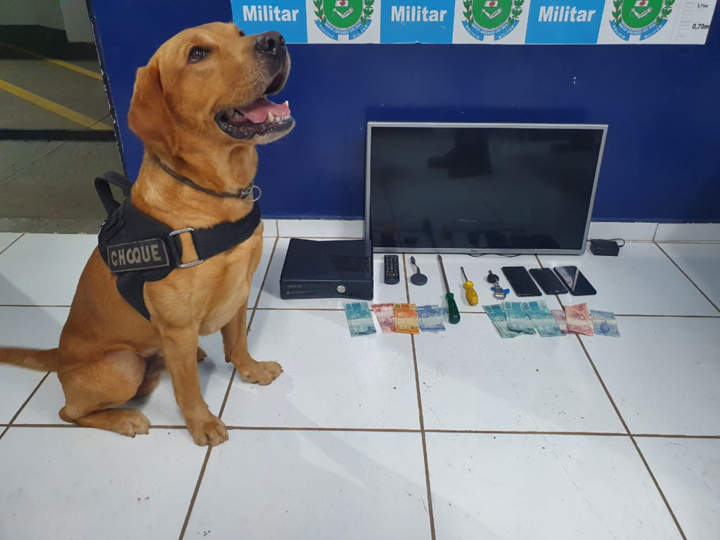 Polícia prende autores de furto realizado no bairro Nova Lima na Capital Polícia prende autores de furto realizado no bairro Nova Lima na Capital