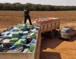 DOF apreende mais de 11 toneladas de maconha escondidas em carga de grama