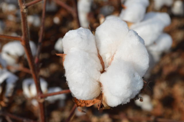 Agricultura: equilíbrio entre processos e produtos Agricultura: equilíbrio entre processos e produtos