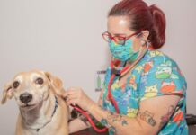 Subea muda horário e limita atendimento a 30 senhas por dia em Campo Grande