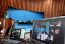 Aprovado projeto de proteção animal em condomínios