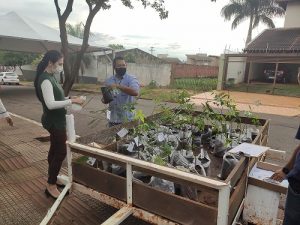 CREA-MS distribui mudas nativas na Semana do Meio do Ambiente em parceria a Águas