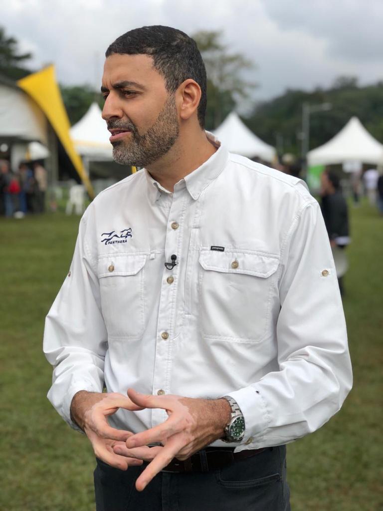 Morte de onças em MS revela novo inimigo da espécie e risco de extinção