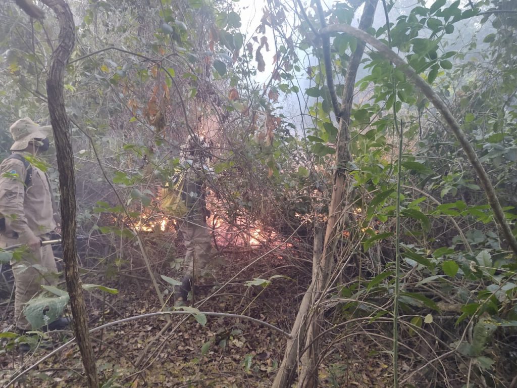 Bombeiros combatem focos na região de Porto Morrinho