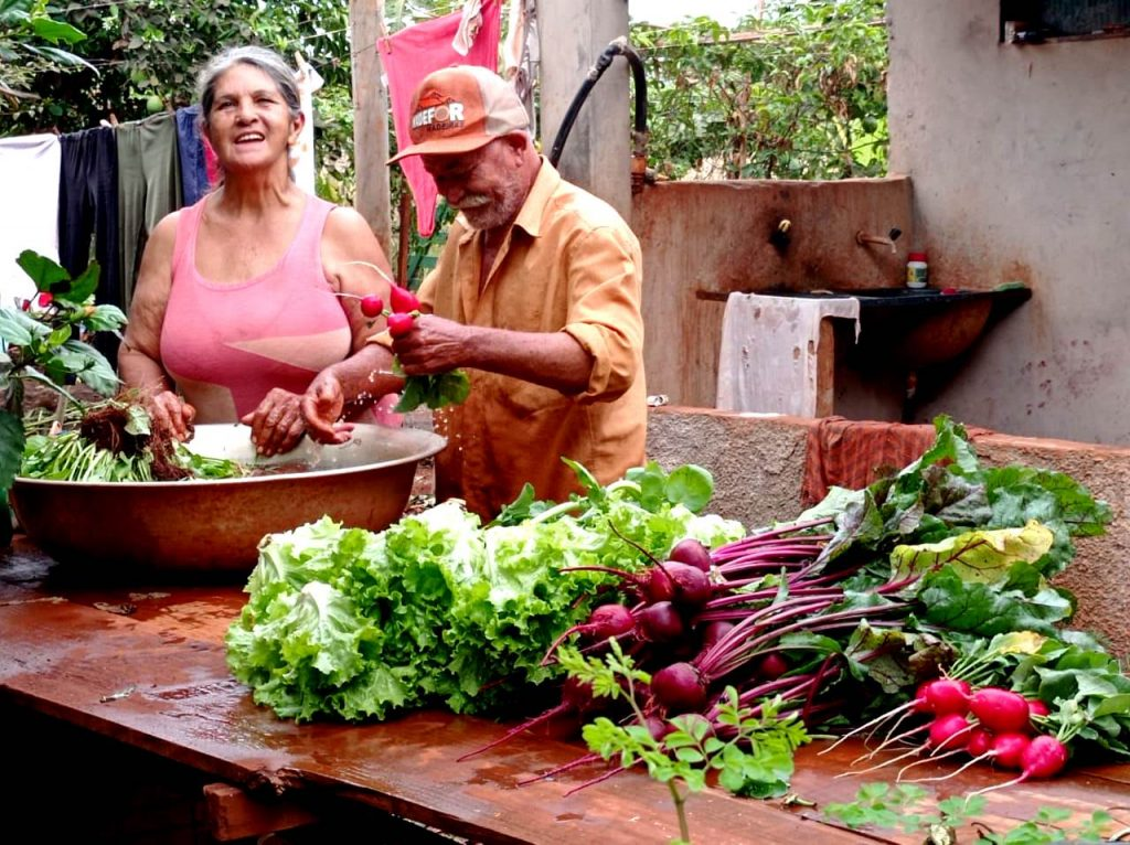 Dia Mundial da Agricultura Familiar: ações do Governo de MS transformam a vida de 43,2 mil famílias de pequenos agricultores