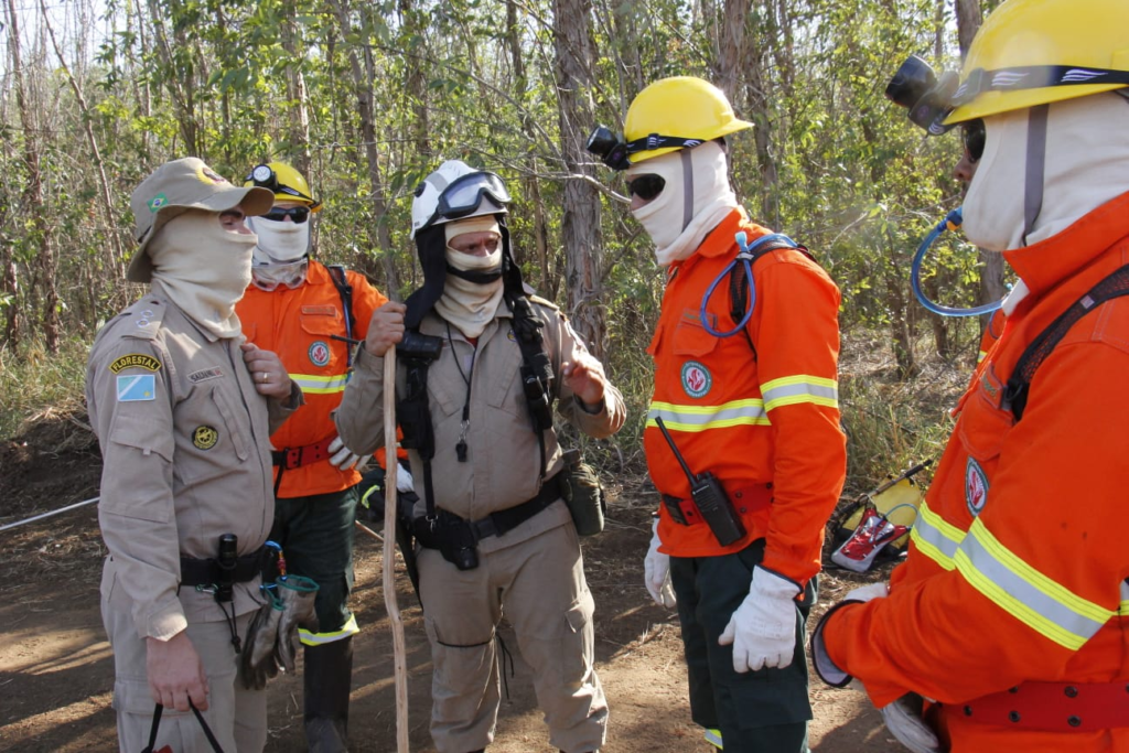 Prevenção, monitoramento e pronta atuação dos bombeiros reduzem em 81% focos de calor no Pantanal
