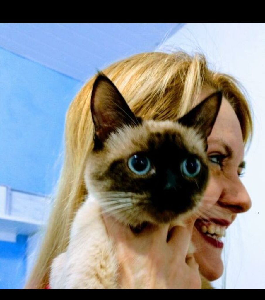 Queda na temperatura é alerta para situação de animais abandonados e mobiliza Ongs e pessoas